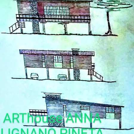 Arthouse Anna *